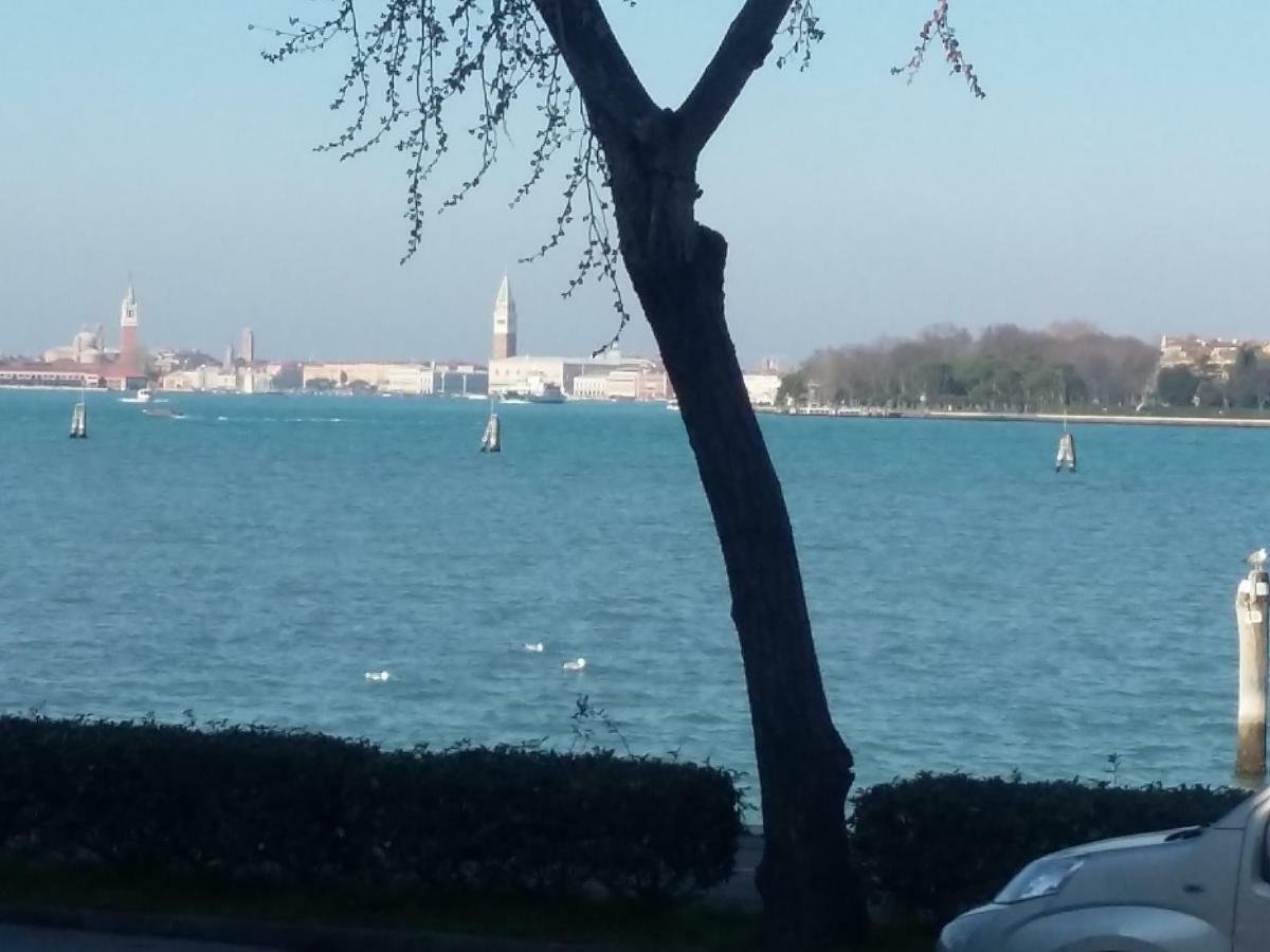 Bellavista Sanmarco Venice And Lagoon View Lido di Venezia Bagian luar foto