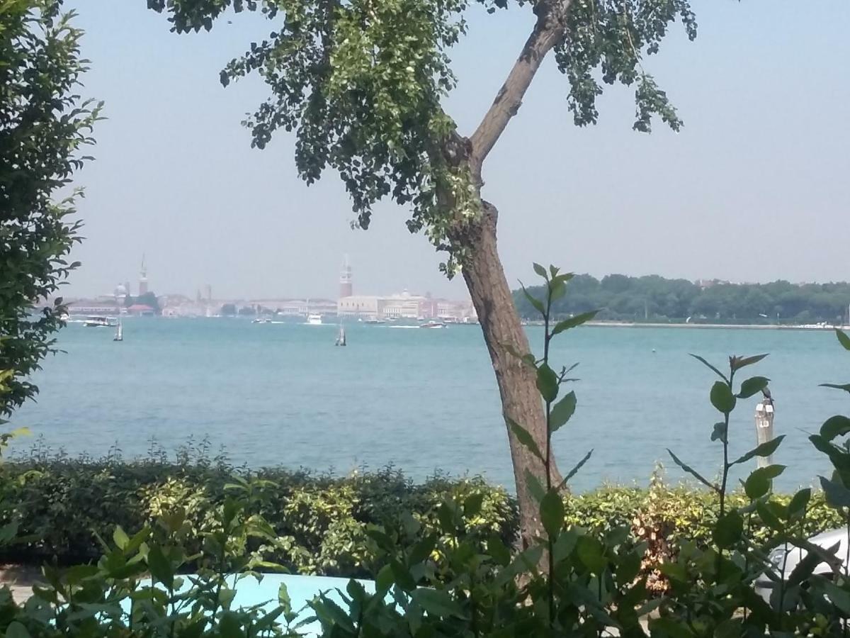 Bellavista Sanmarco Venice And Lagoon View Lido di Venezia Bagian luar foto